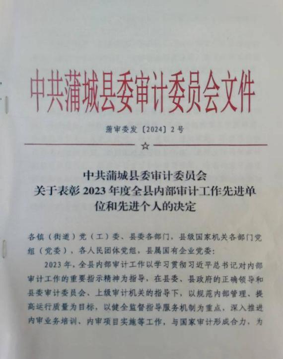 中共蒲城县委审计委员会首次表彰全县内部审计先进